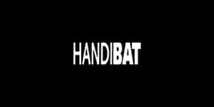 Logo Handibat